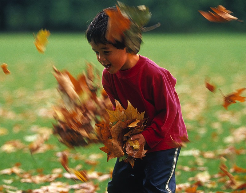 Boy catching leaves 
